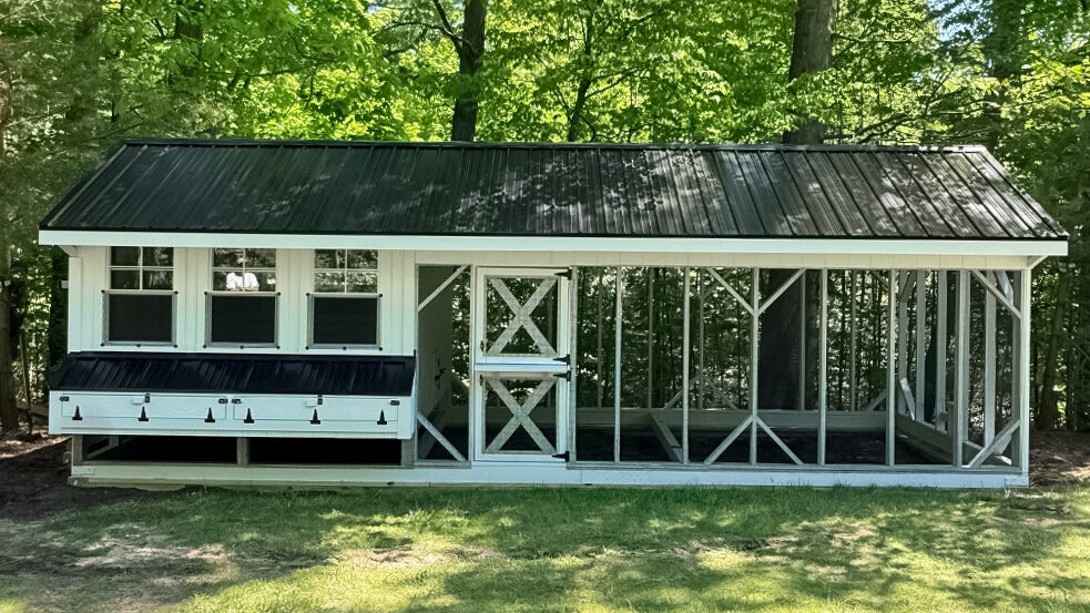 10x28 Quaker Combination Coop in Traverse City MI 2