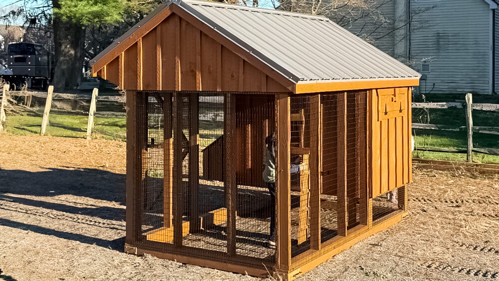 6x10 Combination Coop in Hopewell NJ 2