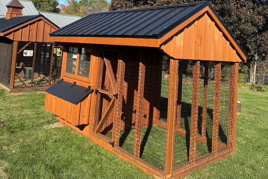 6x10 cedar combination coop with attached run and black metal roofing