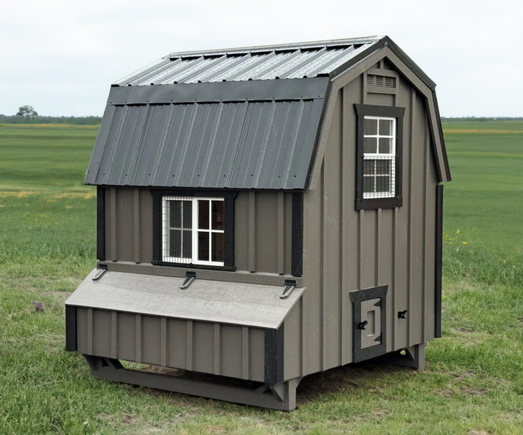 6x6 dutch coop 2