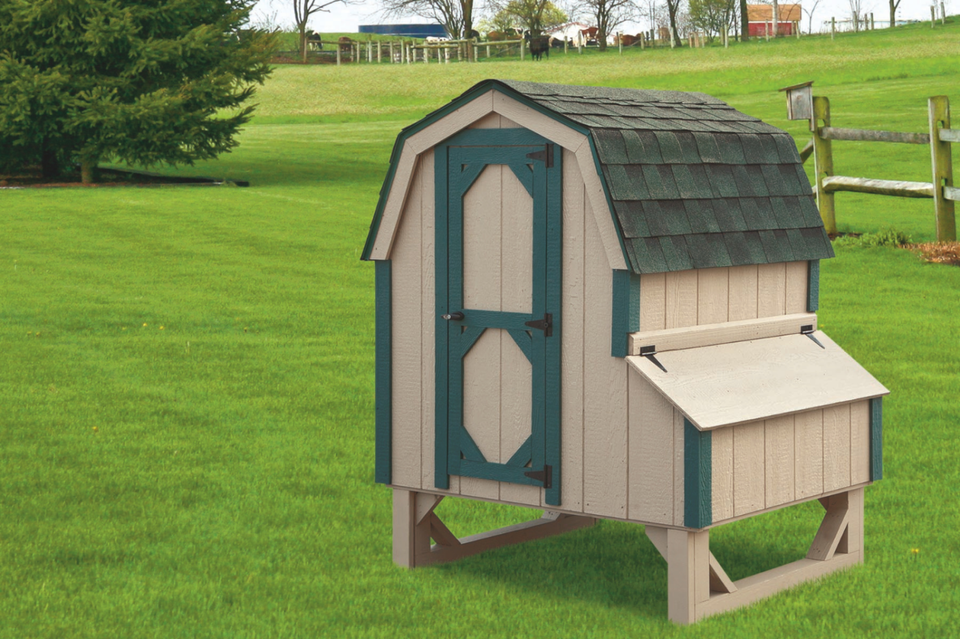 beige and green dutch chicken coop in arizona