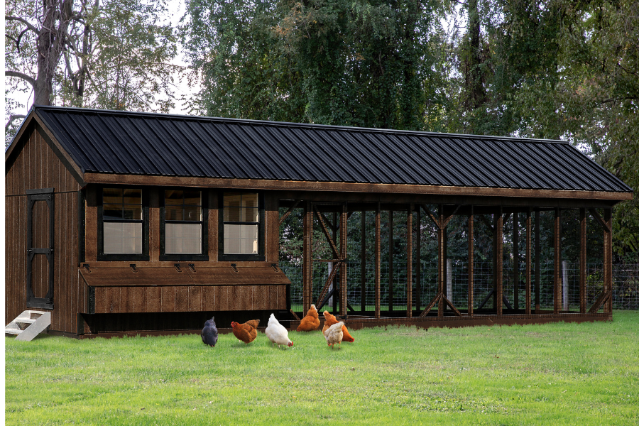 brown and black trimmed chicken coops for sale in Fort SMith AR with black metal roof three windows and chickens grazing in grass in front of it