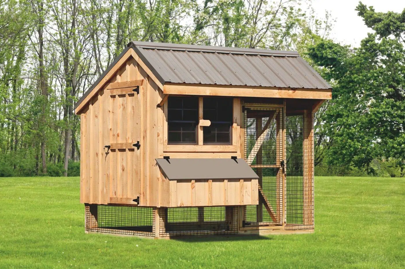 chicken coops in florida combination coops