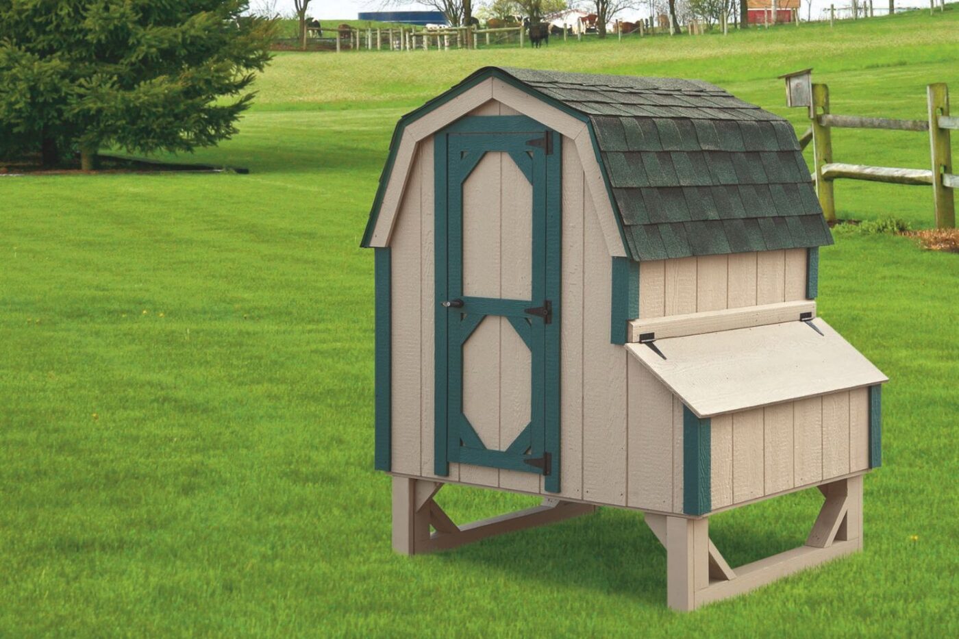 chicken coops in georgia dutch coops