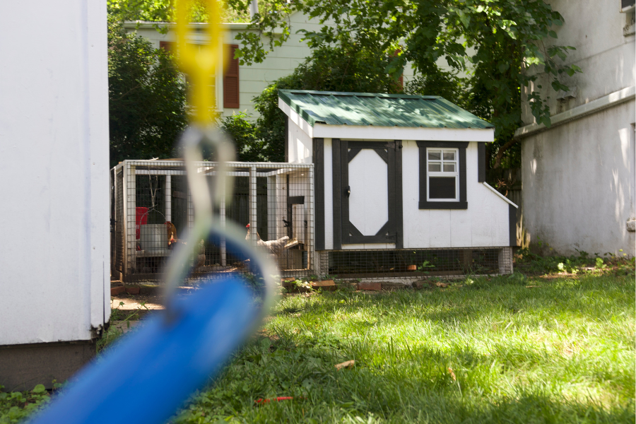 white combination coop with black trim green metal roof and attached run