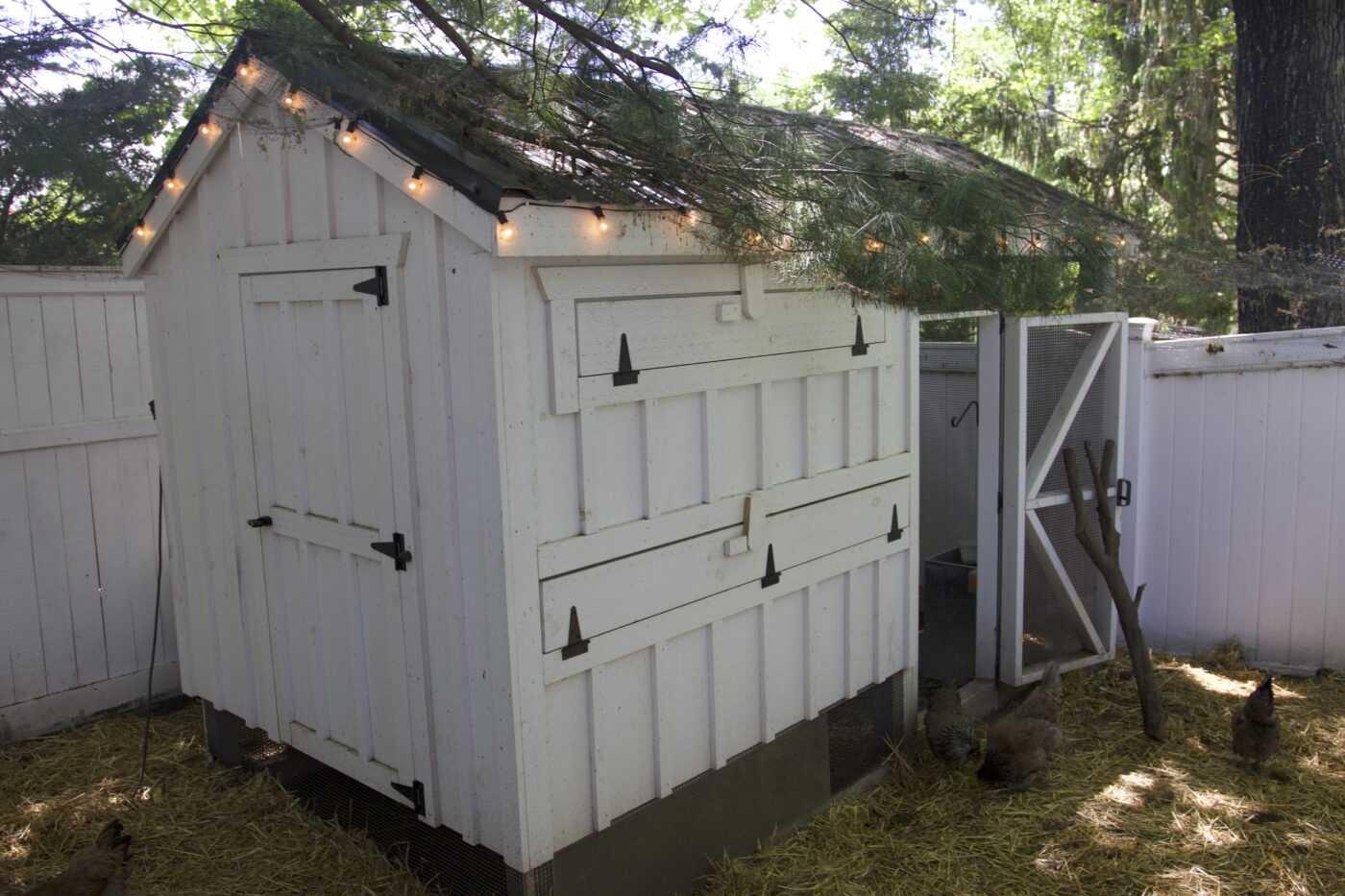 white chicken coop with automatic door in NJ