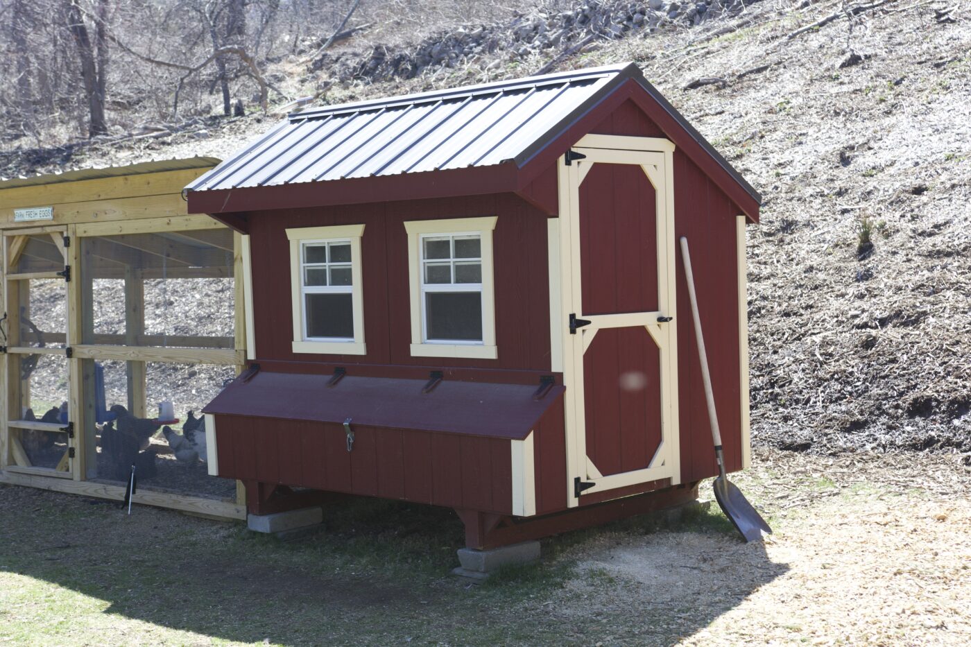 Red and cream cornered 5x8 quaker chicken coop in CT