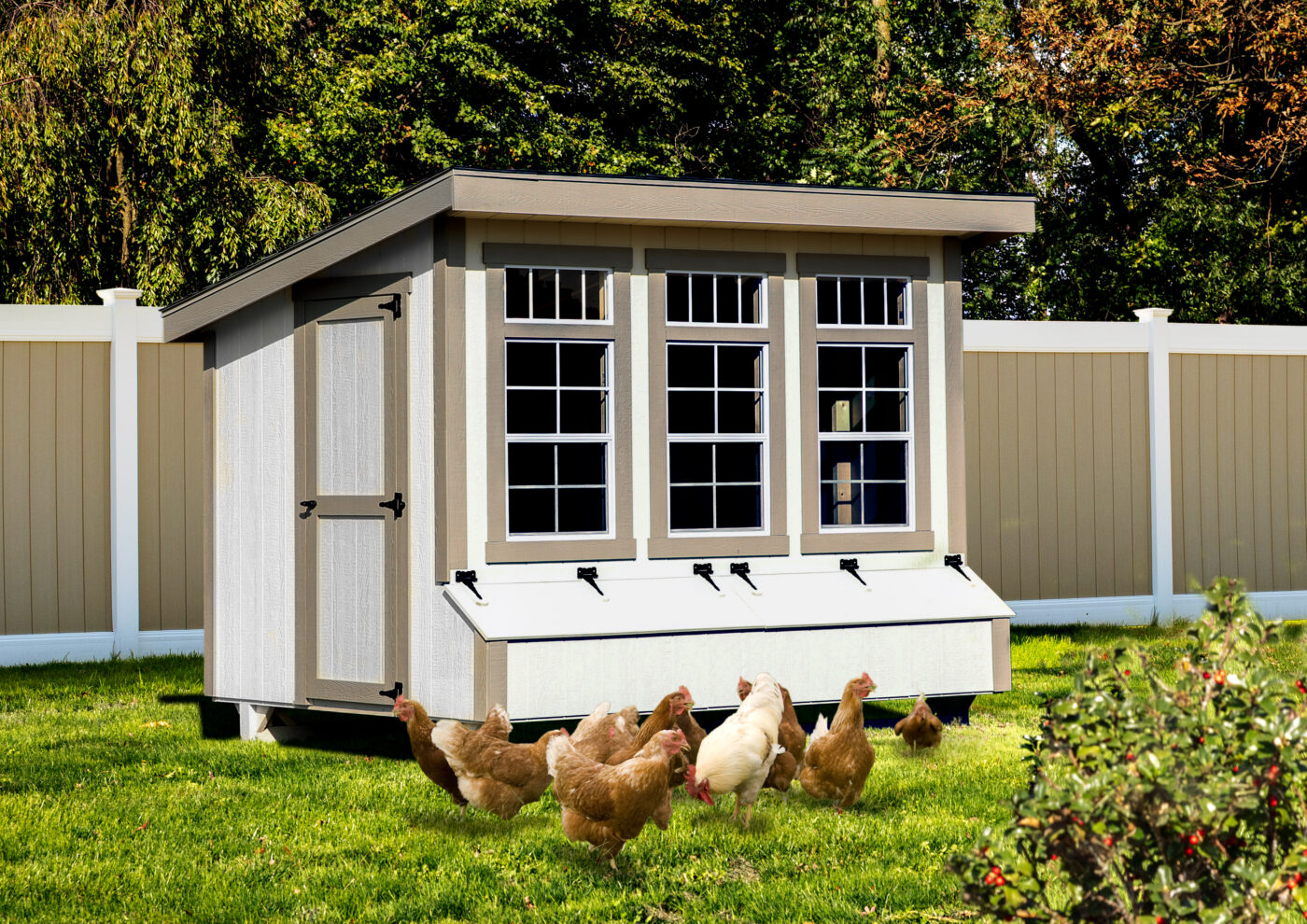 modern white lean to chicken coops in Kansas