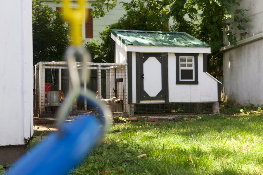white and black trimmed combination coop with green metal roof and attached run with chickens in it