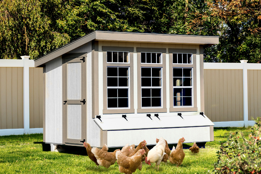 white modern lean to coop with tan trim three large windows and egg collection boxes below