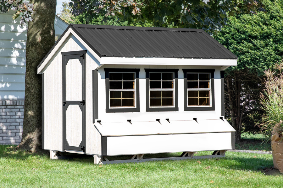 white and black trimmed quaker coop with black metal roof three large front windows and an egg collection box below