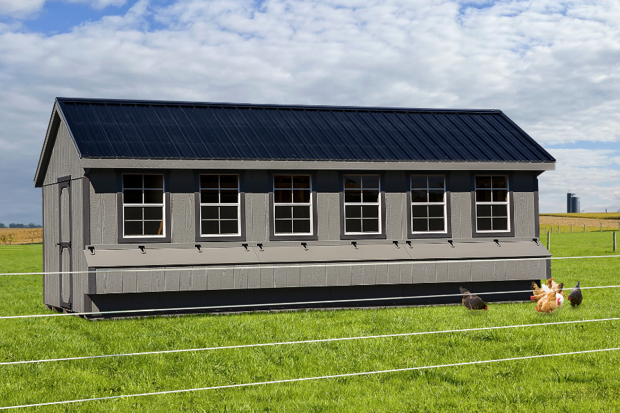 dark gray quaker chicken coop with darker gray trim black metal roof and 6 front windows with 3 egg collection boxes beneath and chickens grazing in grass in front. of it