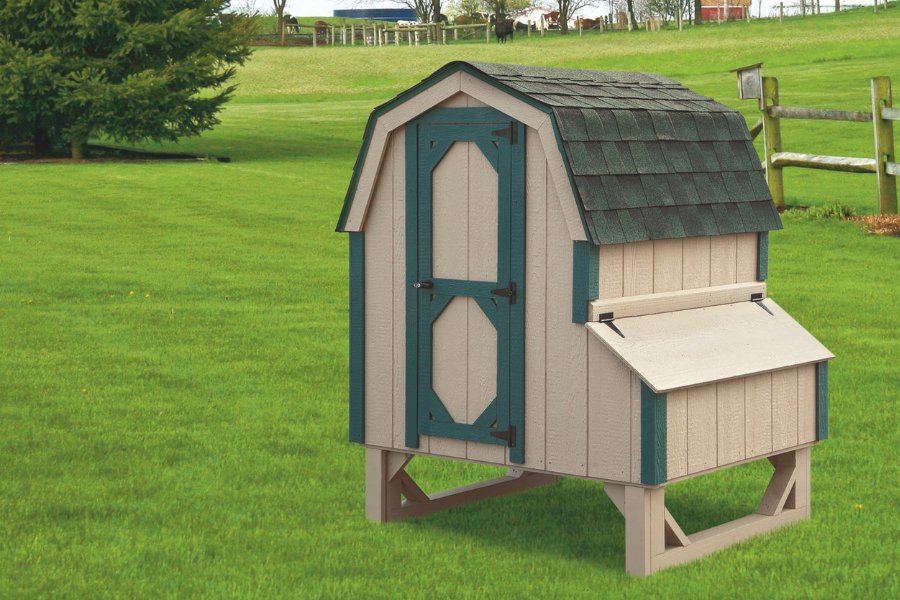 tan and green trimmed dutch coop with curved grayish green shingle roof side egg collection box and slighting raised off ground