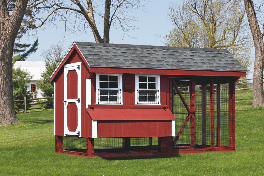 red and white trimmed combination chicken coop with gray shingle roof attached run two windows and an egg collection box