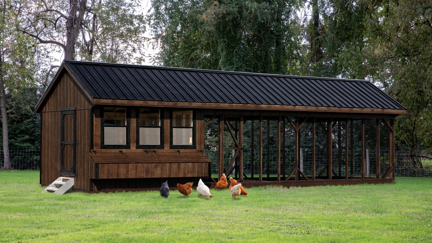 brown and black trimmed combination chicken coops for sale in Baltimore MD with outdoor run side door with steps leading up to it black metal roof three windows with egg colllection box underneath and chickens grazing in grass in front of it
