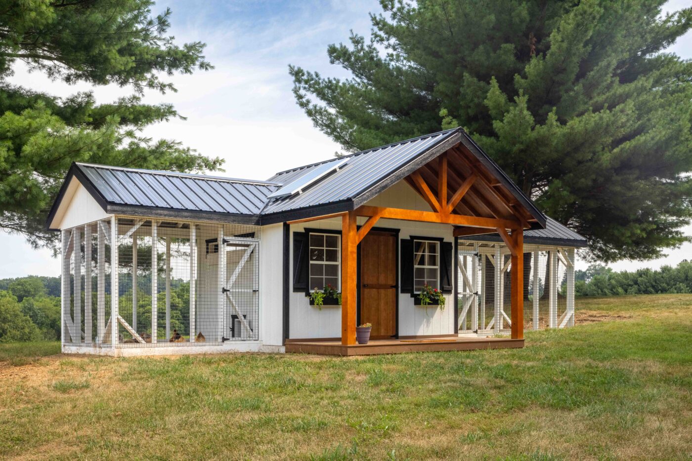 white combination coop with runs on either side of main coop with front porch wooden front door two windows with black shutters and black flowerboxes and a black metal roof with a solar panel.
