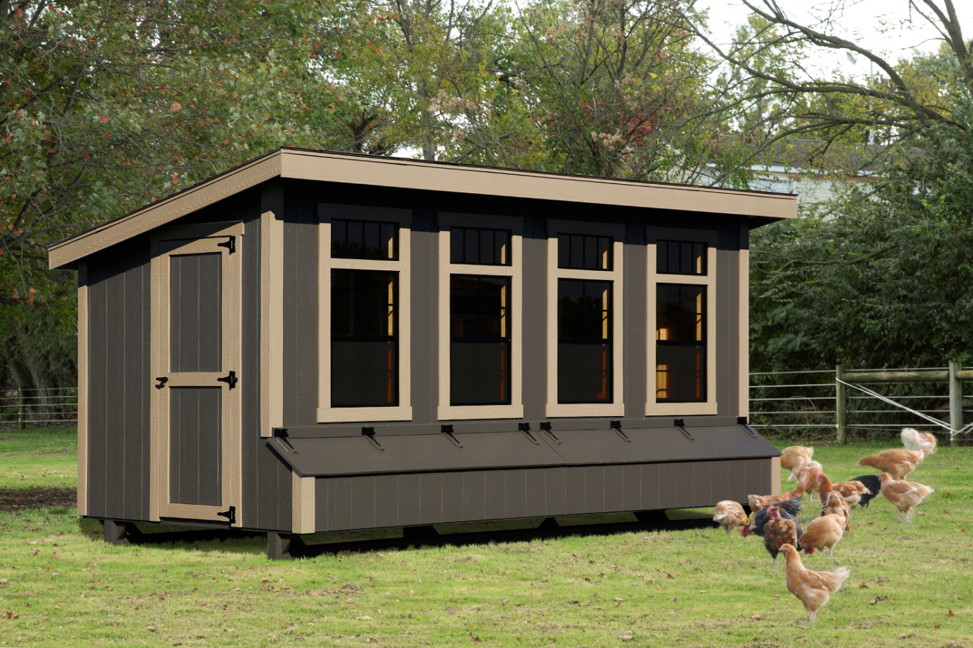 black lean to chicken coops in billings mt