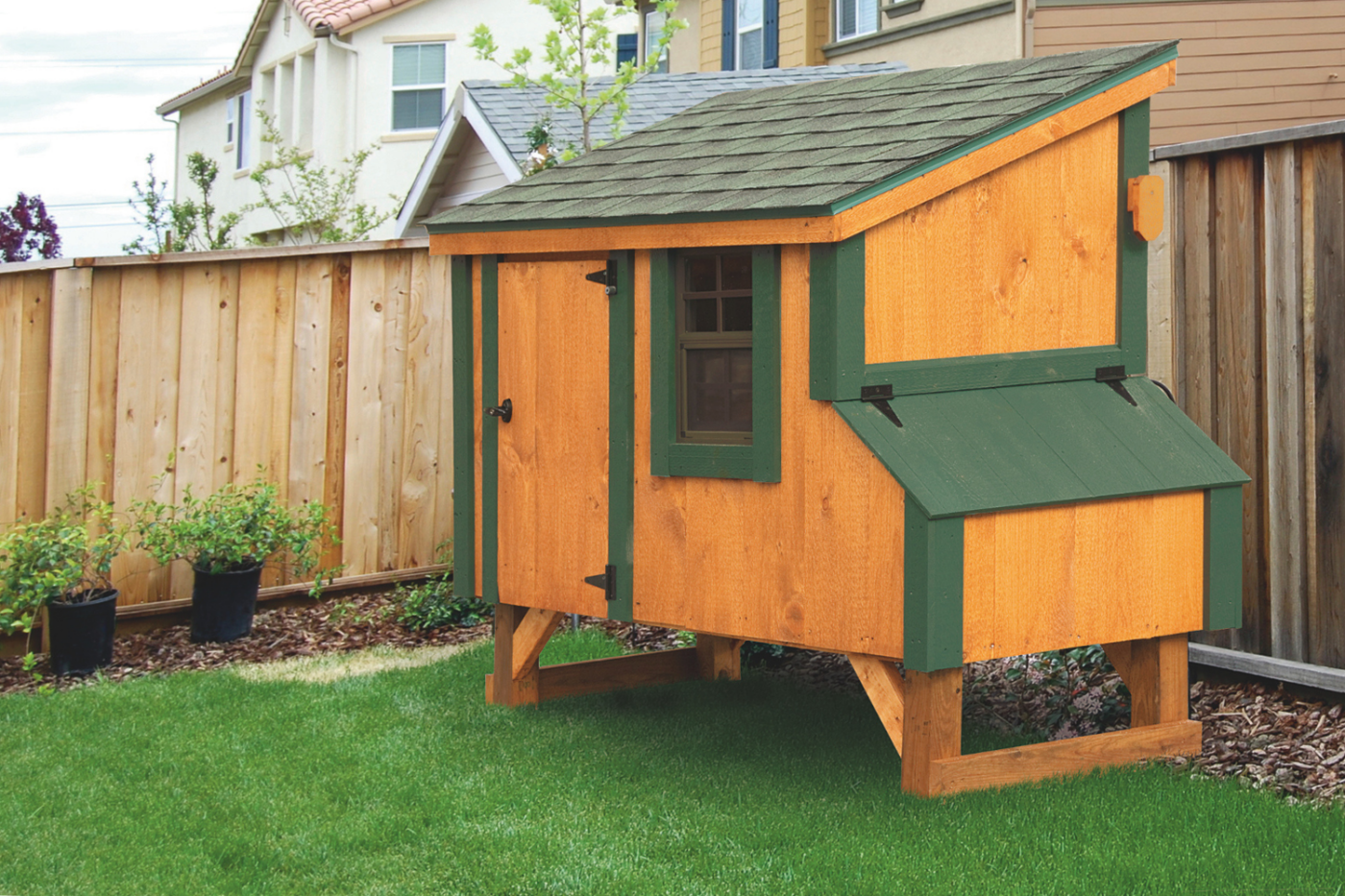 wooden and green lean to chicken coops in billings mt