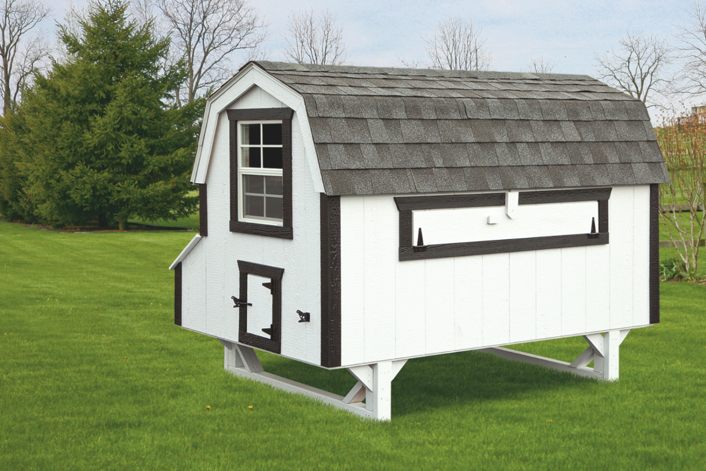 white and black dutch chicken coop in great falls mt