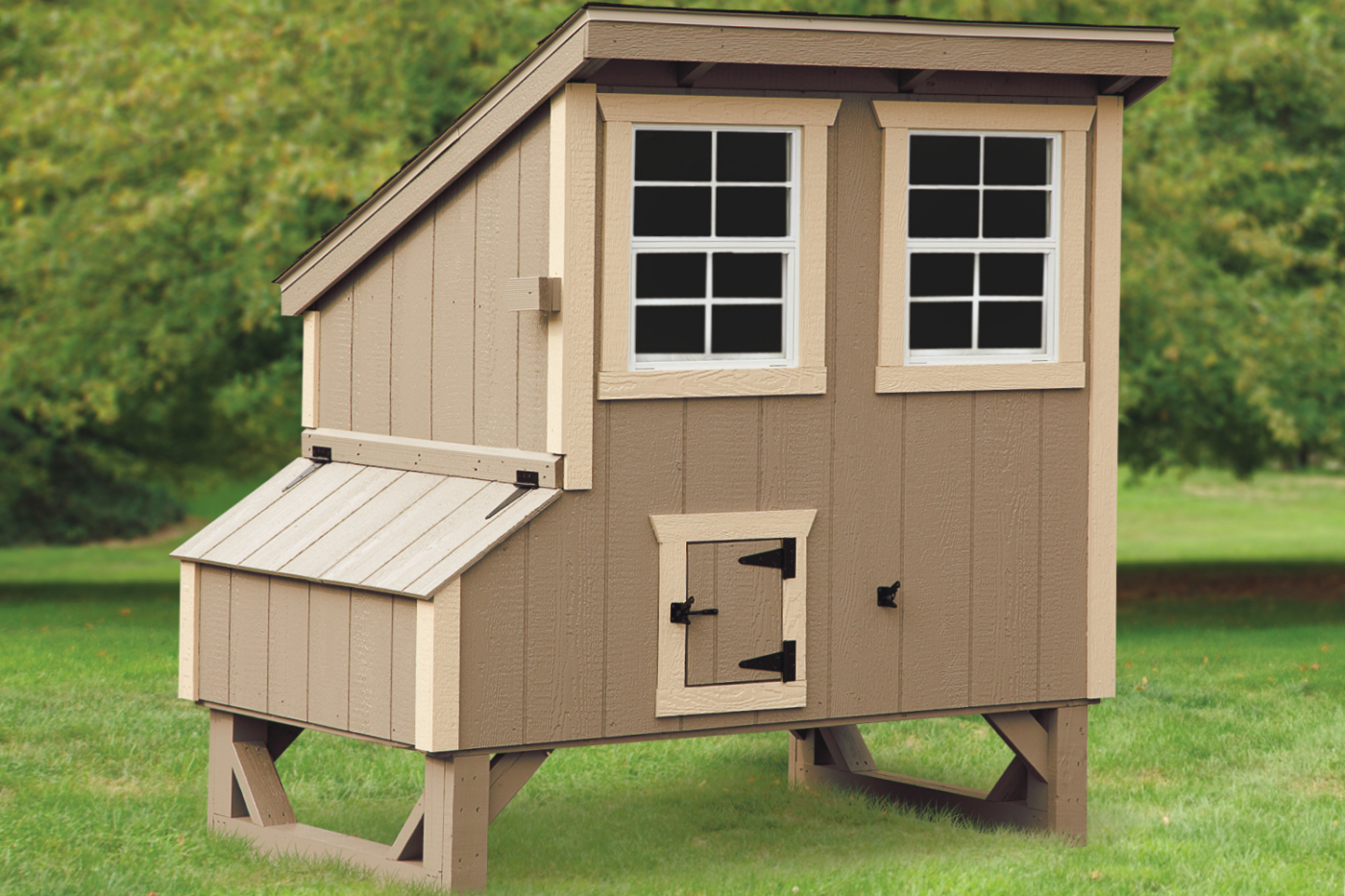 beige lean to chicken coop with windows in missoula mt