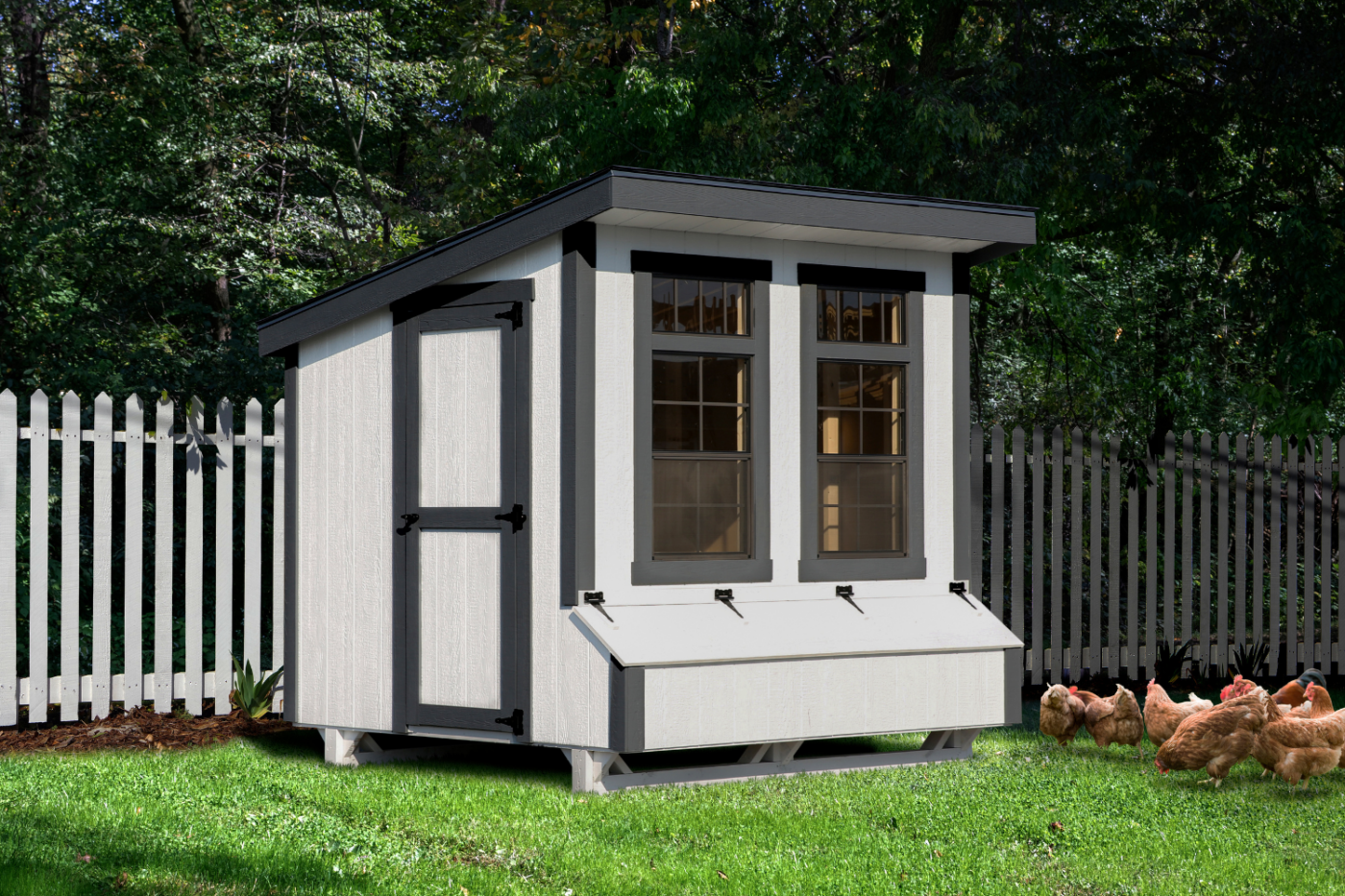 black and white lean to chicken coop in missoula mt