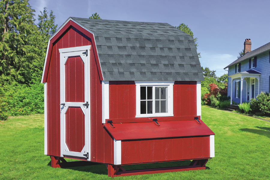 red and white trimmed dutch chicken coop with gray shingle roof and side egg collection box raised off ground by blue house