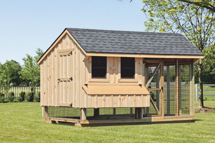 light wooden combination chicken coop with gray shingle roof with attached run two windows and an egg collection box by tree fenced in