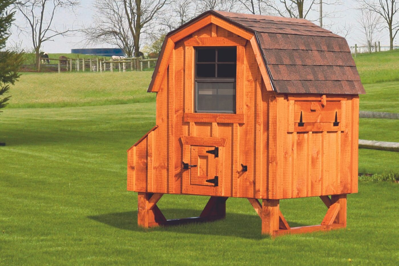 chicken coops for sale in buffalo ny dutch