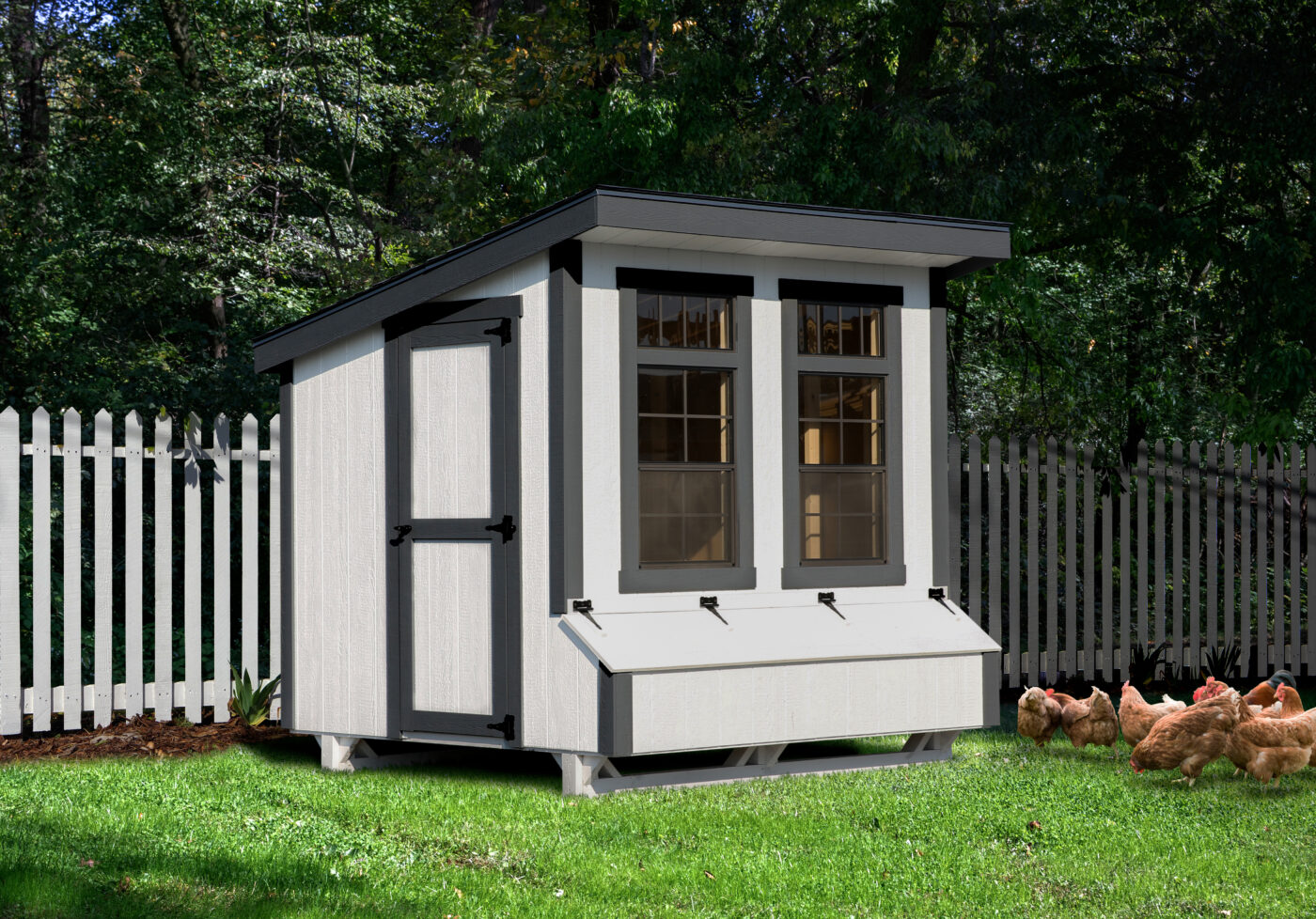 white lean to coop with black trim and roof and two large windows on the front