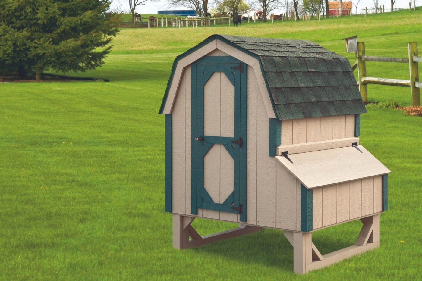 chicken coops in ohio dutch coops