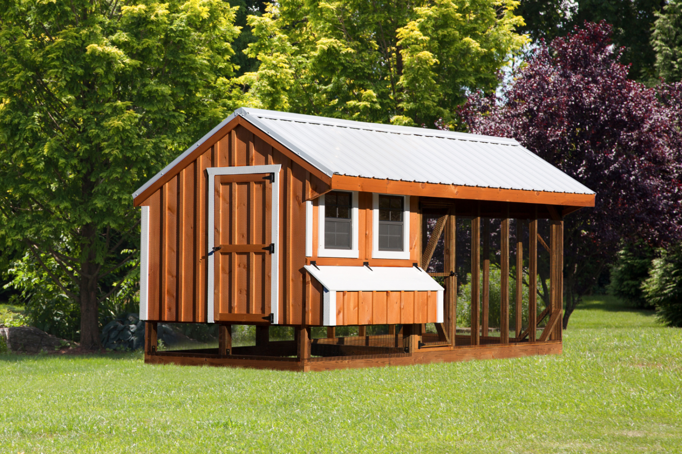 wooden and white combination chicken coop with windows in eugene or