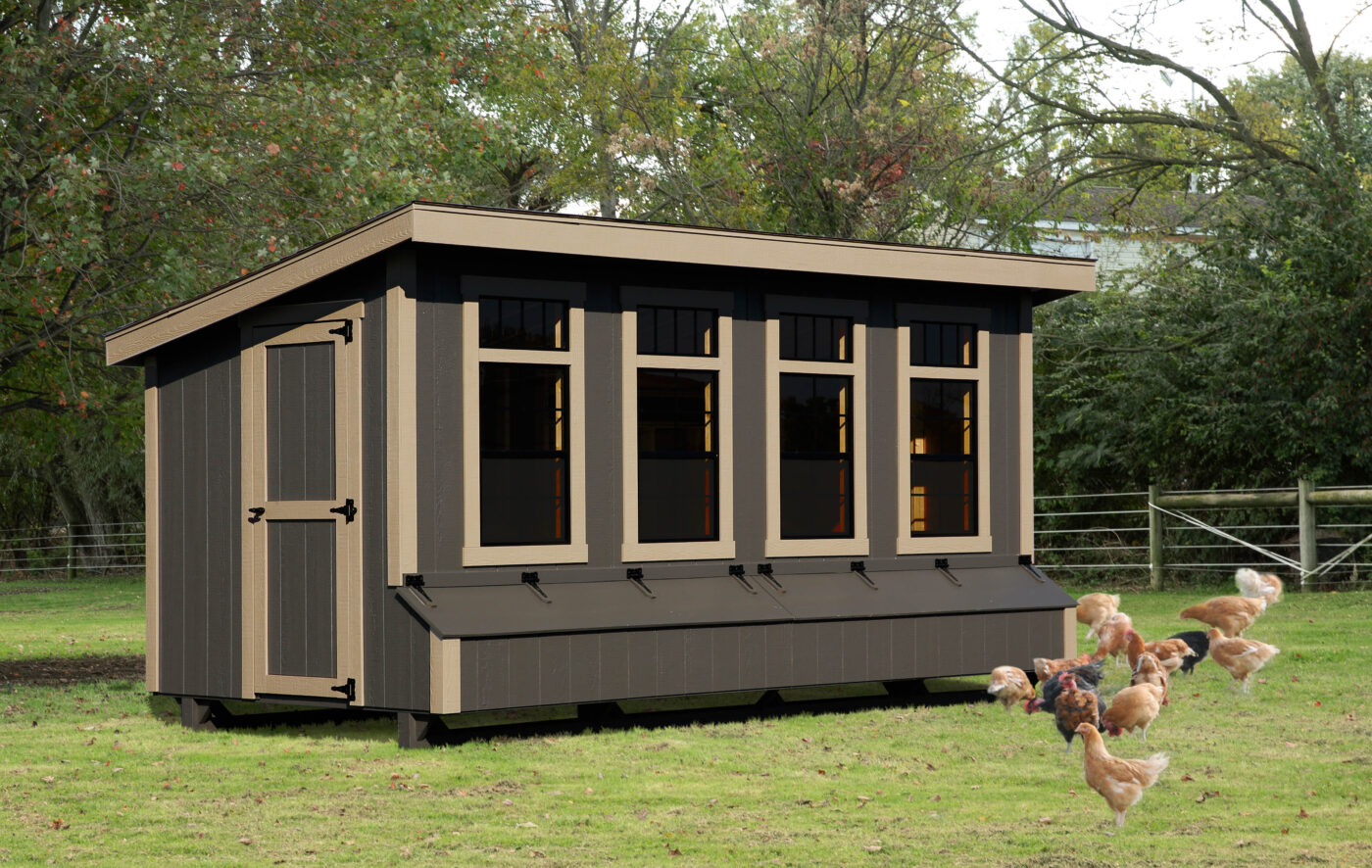 dark brown lean to coop with tan trim and chickens in front of it grazing in grass