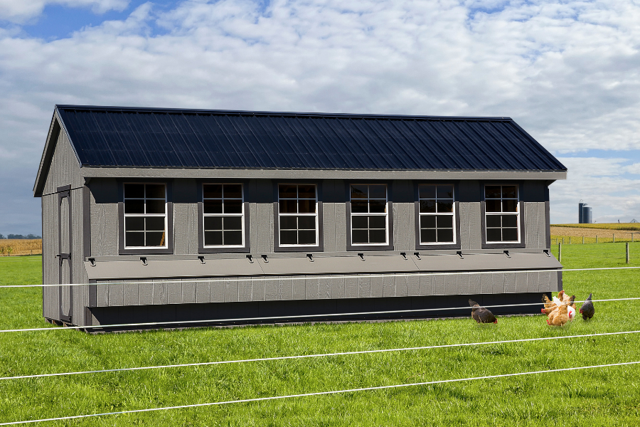 gray quaker chicken coop with darker gray trim black metal roof and six windows with three egg collection boxes below