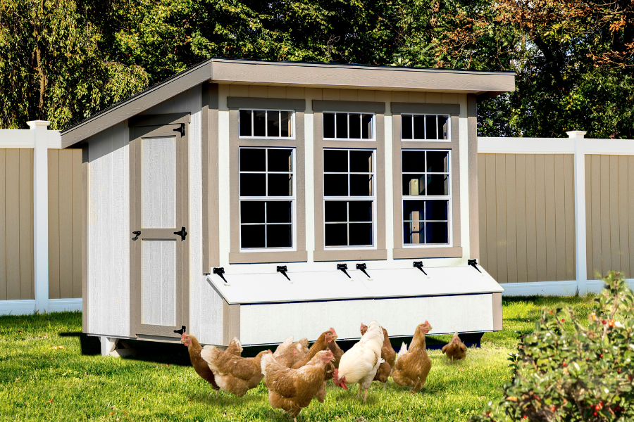 white lean to coop with tan trim three large windows and two egg collection boxes plus chickens grazing in grass in front of it