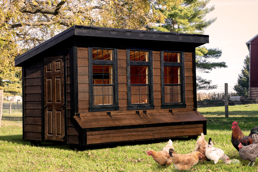 dark brown wooden lean to chicken coop with black trim three large windows two egg collection boxes and a side door
