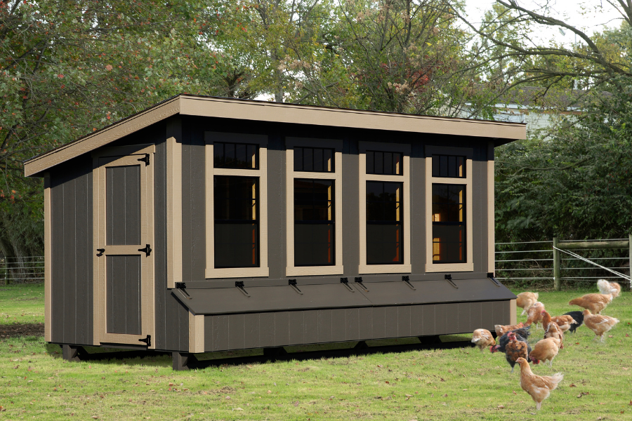 brown lean to chicken coop with tan trim four large windows two egg collection boxes and chickens grazing in grass in front