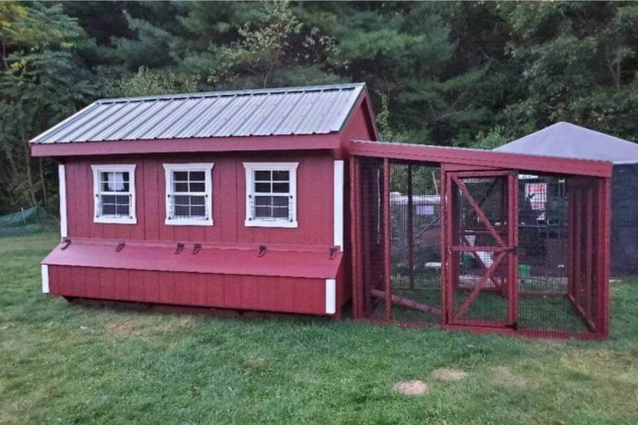 red and white trimmed chicken coop with black metal roof and attached run