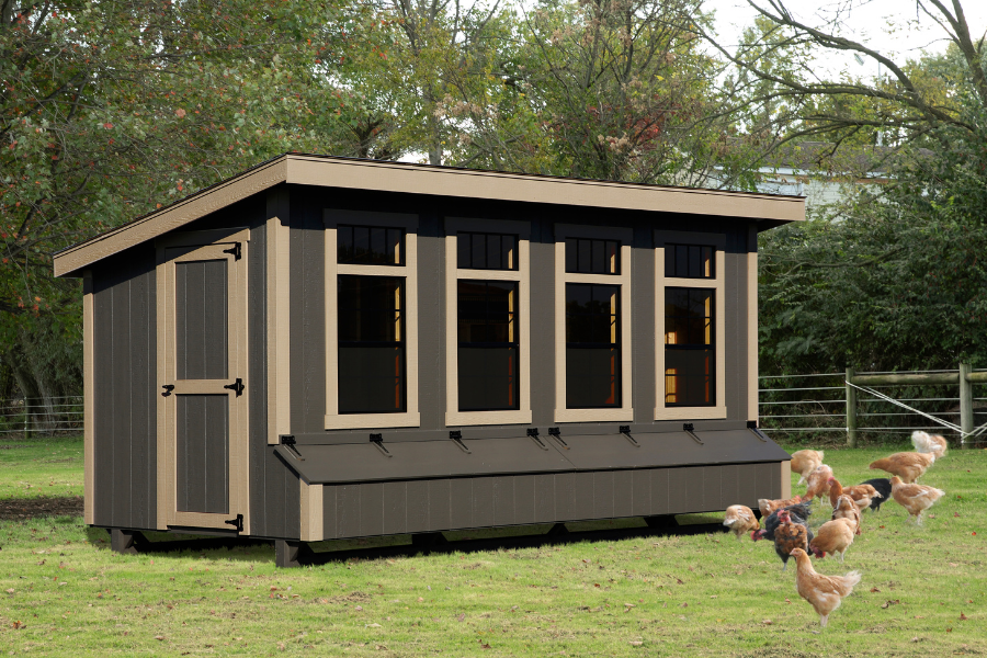 dark brown lean to chicken coop with tan trim and four large windows with chickens grazing in grass by two egg collection boxes