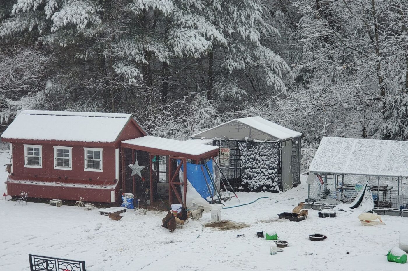 A red Quaker chicken coop with white trim in a snowy backyard.