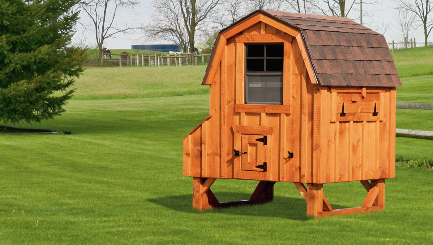 A Dutch chicken coop with Board and Batt siding and brown shingles available for shipping to West Valley City, UT.