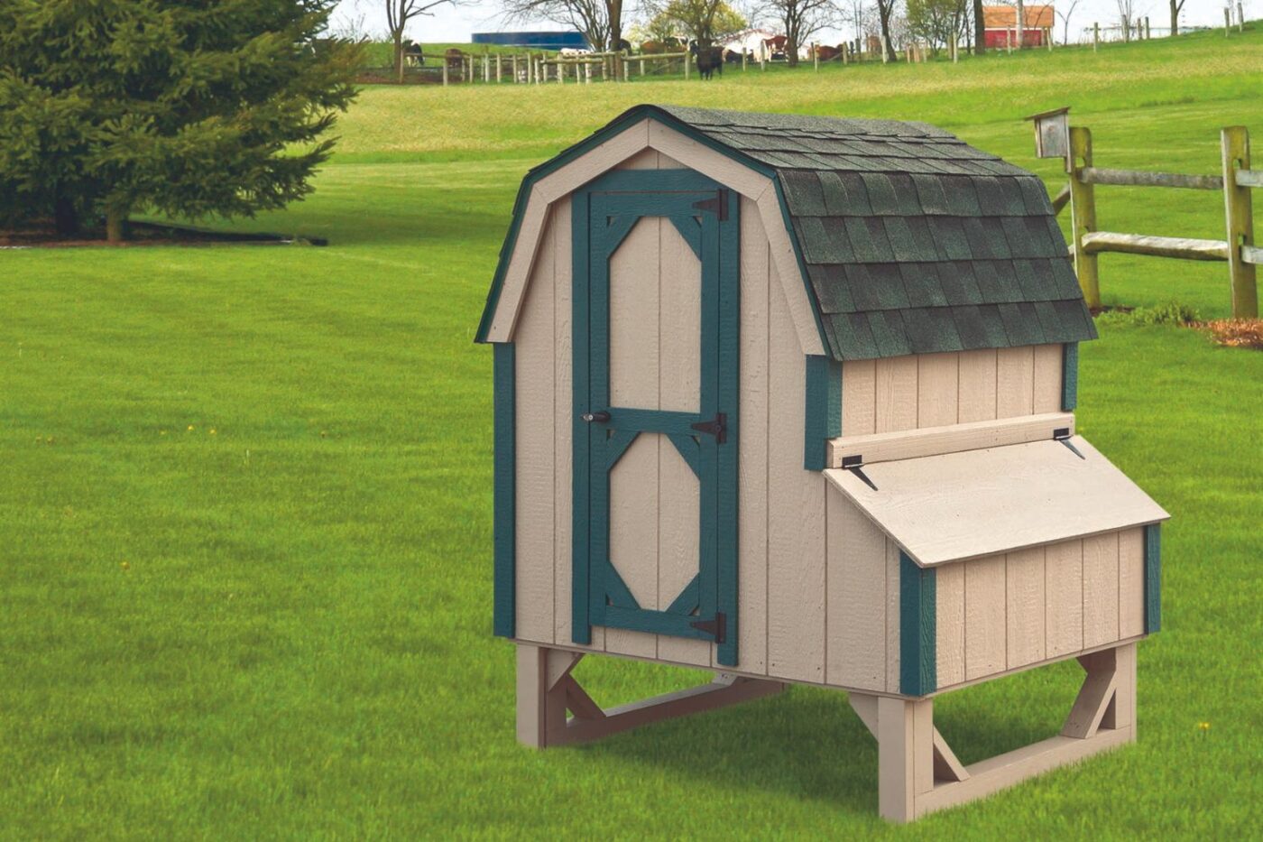 chicken coops for sale in colchester vt dutch