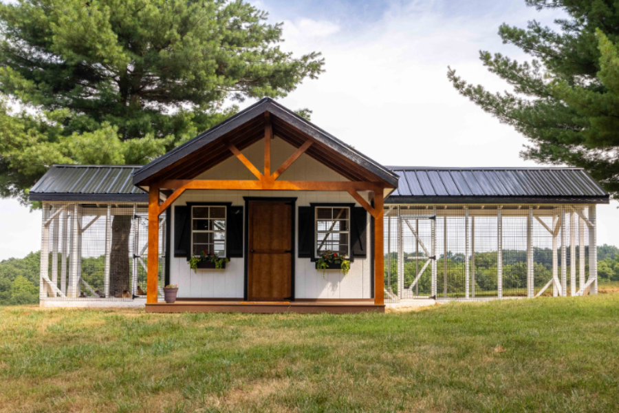 white combination chicken coop with black metal roof with attached runs on either side featuring front porch with brown door png