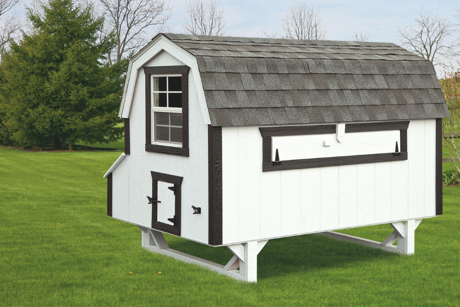 white dutch chicken coop with black trim and shingle roof