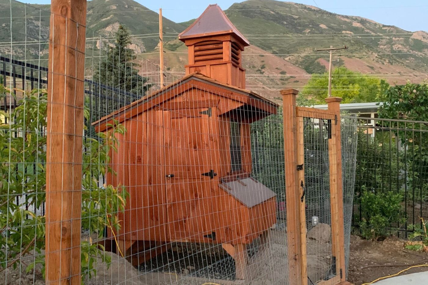 chicken coops for sale in bellevue wa customer story
