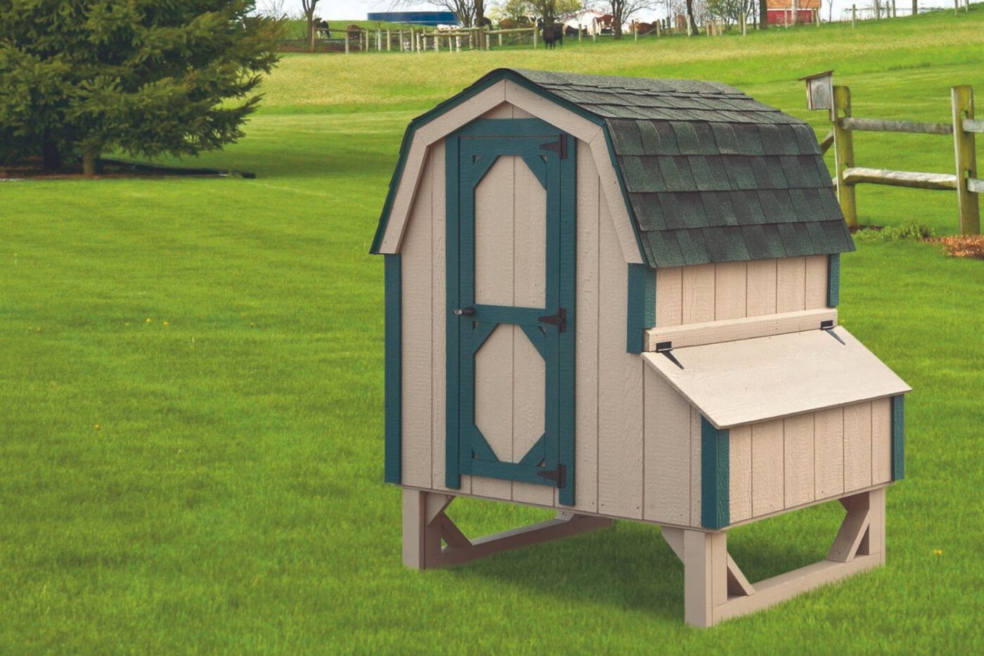 chicken coops for sale in bellevue wa vancouver