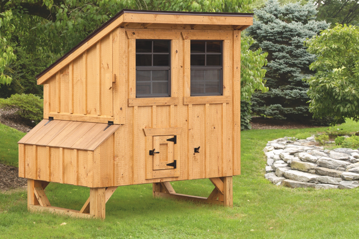 wooden lean to chicken coop in washington dc
