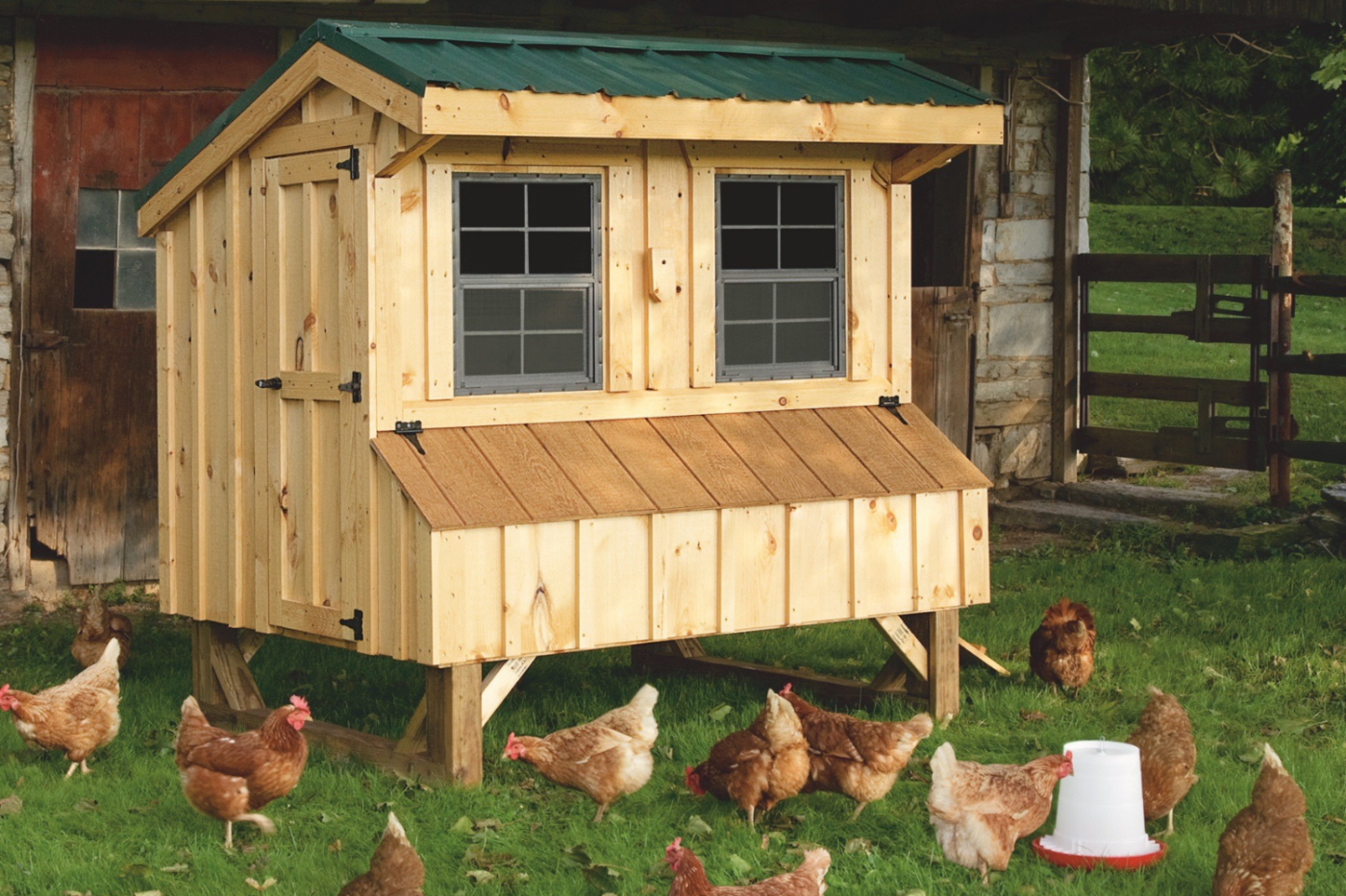 wooden quaker chicken coop with green roof in washington dc