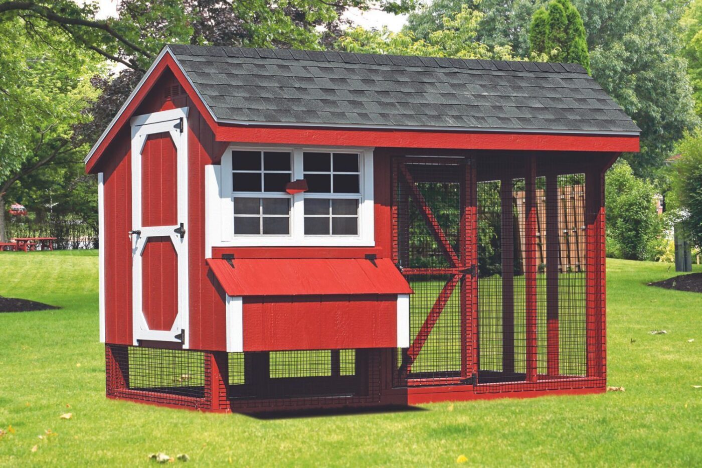 chicken coops for sale in everett wa bellevue