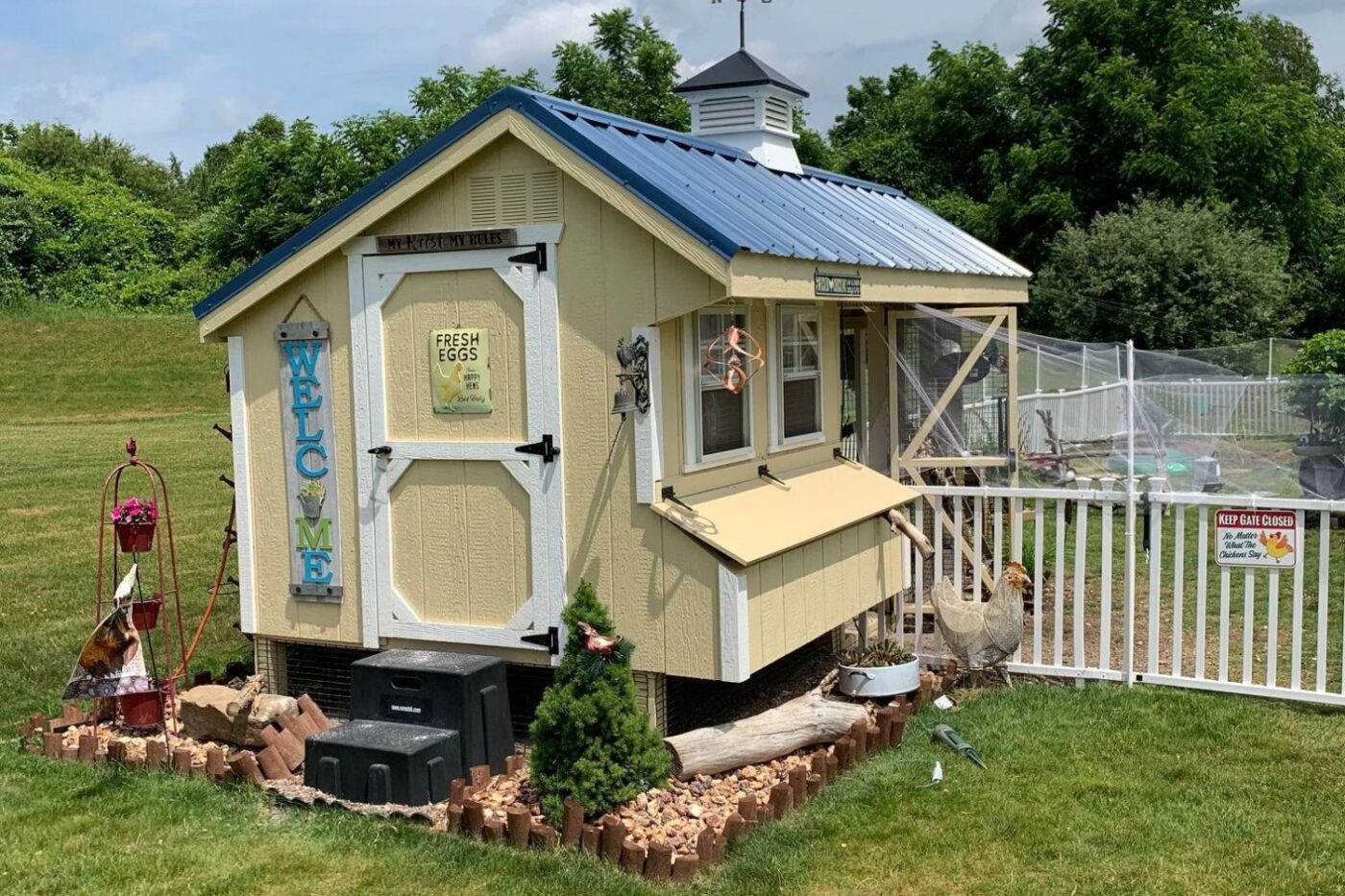 chicken coops for sale in everett wa coop story