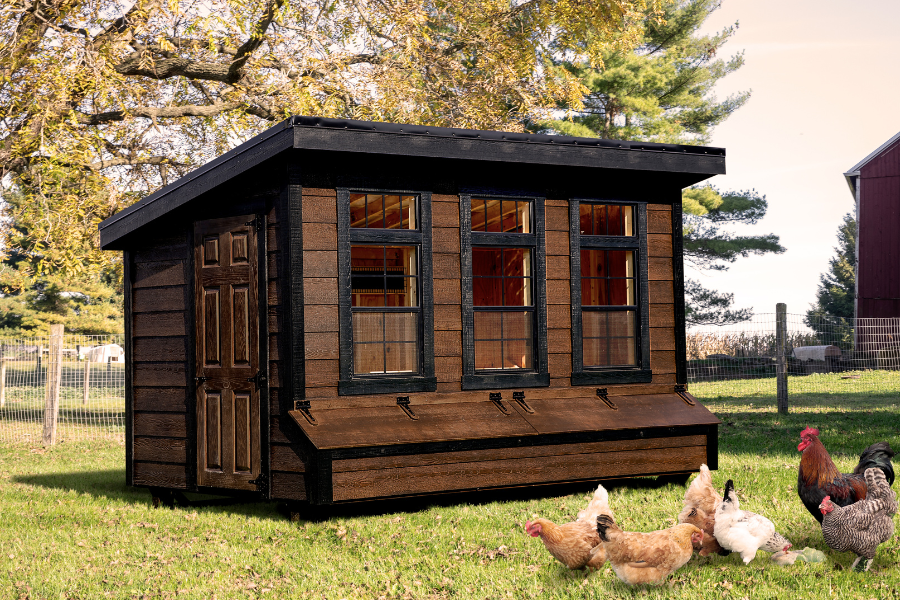 brown modern lean to coops with black trim and three large windows with two egg collection boxes below and chickens grazing in grass in front